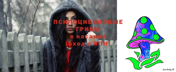 соль ск Балабаново